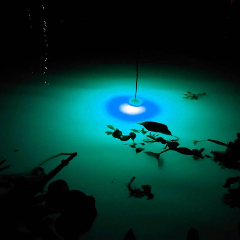 Mini lampada per attrazione pe - Fishing Boat Navigation Light recensione e prezzo