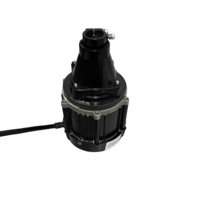 Motore fuoribordo senza spazzo - Fishing Boat Trolling Motor recensione e prezzo