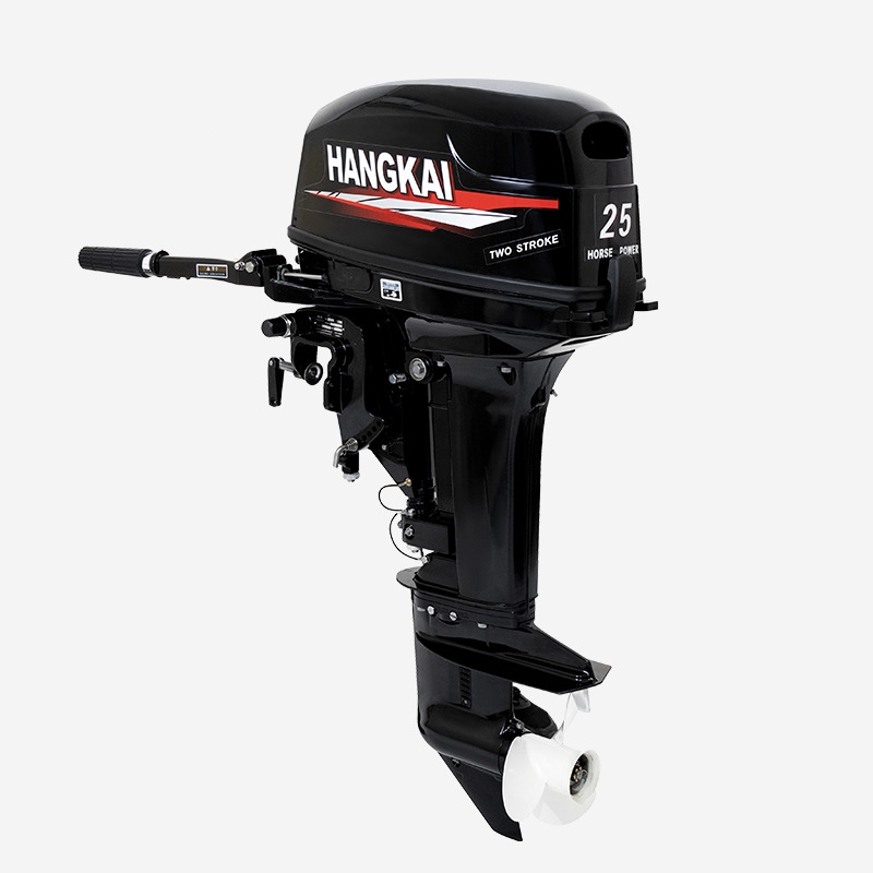 Motore Fuoribordo a 2 Tempi 25 - Fishing Boat Outboard Motor recensione e prezzo